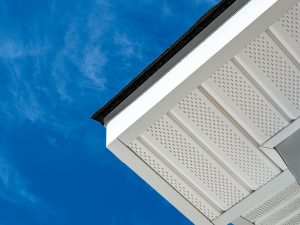 Why Soffit and Fascia Damage Shouldn't Be Ignored
